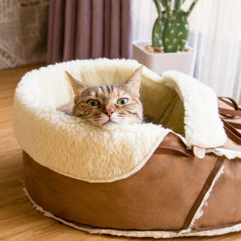 Cat Beds - Paws &amp; Purrfections