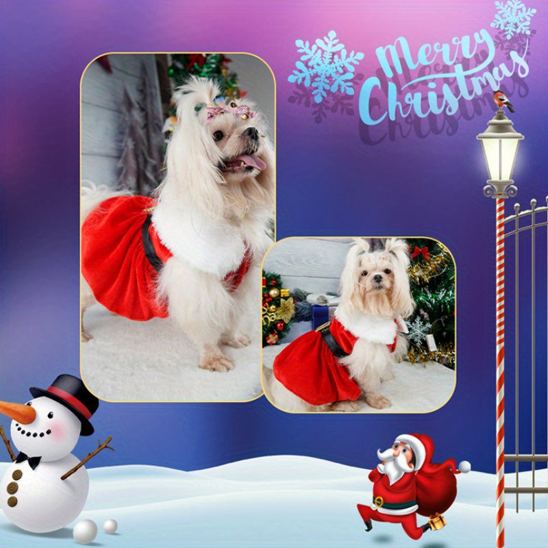 Festive Red Velvet Christmas Dog Dress with Belt - Cozy Winter Pet Apparel for Small to Medium Breeds