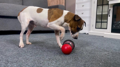 1pc Interactive Ball-Shaped Dog Toy - Balls for Slow Feeding, Hiding Food, and Educational Play - Durable, Fun, and Challenging Pet Accessory