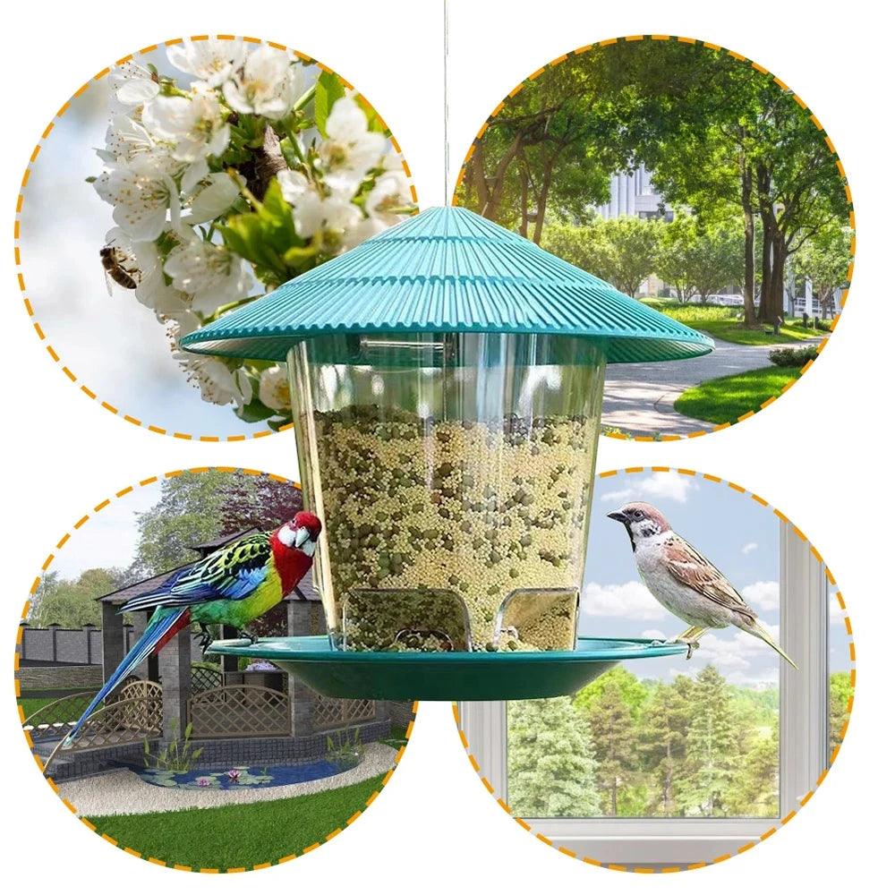 Automatic Bird Feeder - Paws &amp; Purrfections