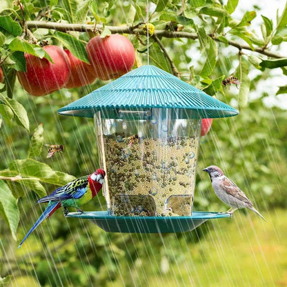 Automatic Bird Feeder - Paws &amp; Purrfections