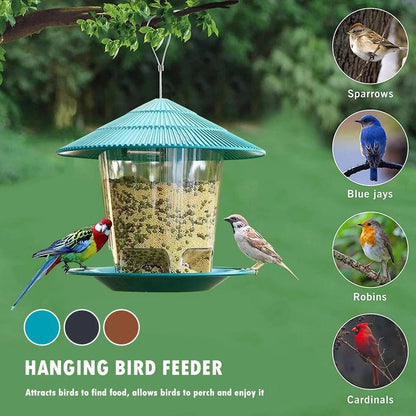 Automatic Bird Feeder - Paws &amp; Purrfections