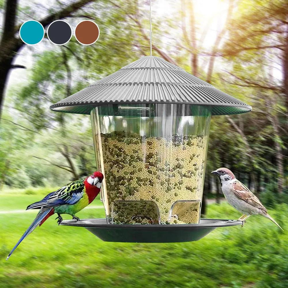 Automatic Bird Feeder - Paws &amp; Purrfections