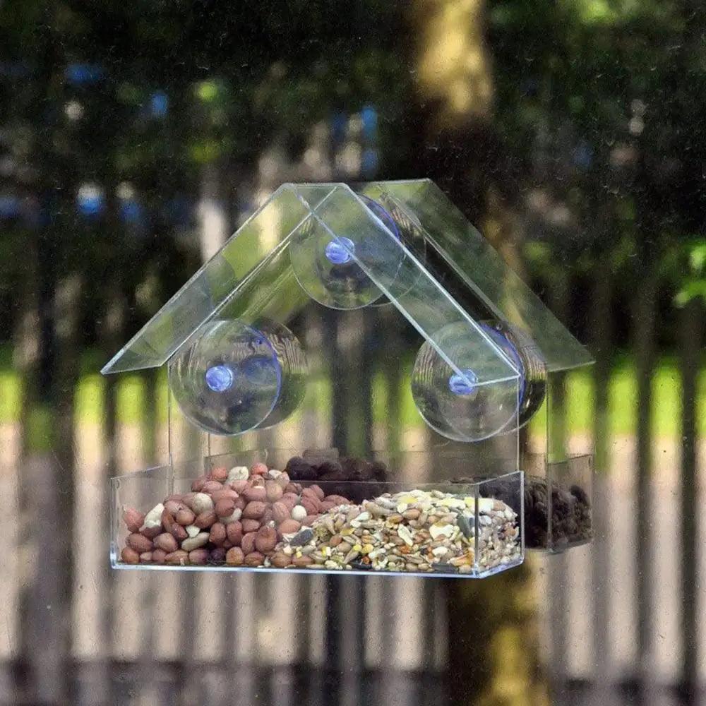 Acrylic Transparent Bird Feeder with Suction Cup - Easy Window Mounting - Paws &amp; Purrfections