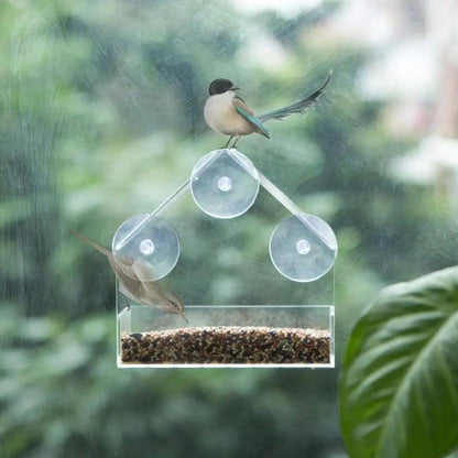 Acrylic Transparent Bird Feeder with Suction Cup - Easy Window Mounting - Paws &amp; Purrfections