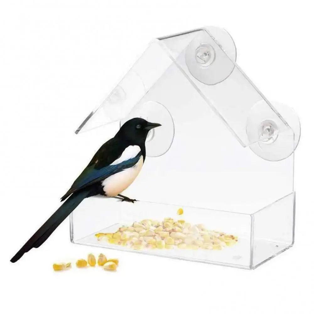 Acrylic Transparent Bird Feeder with Suction Cup - Easy Window Mounting - Paws &amp; Purrfections