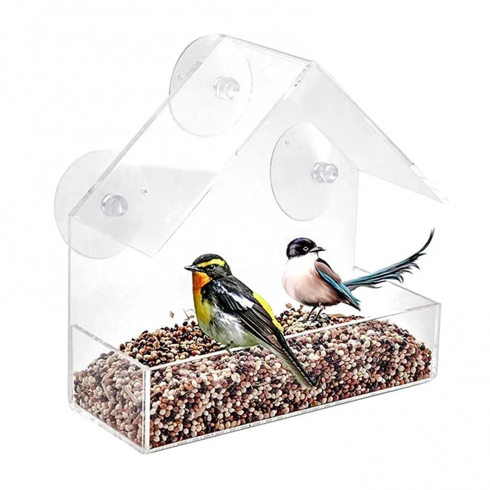 Acrylic Transparent Bird Feeder with Suction Cup - Easy Window Mounting - Paws &amp; Purrfections