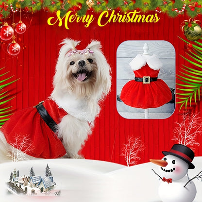 Festive Red Velvet Christmas Dog Dress with Belt - Cozy Winter Pet Apparel for Small to Medium Breeds