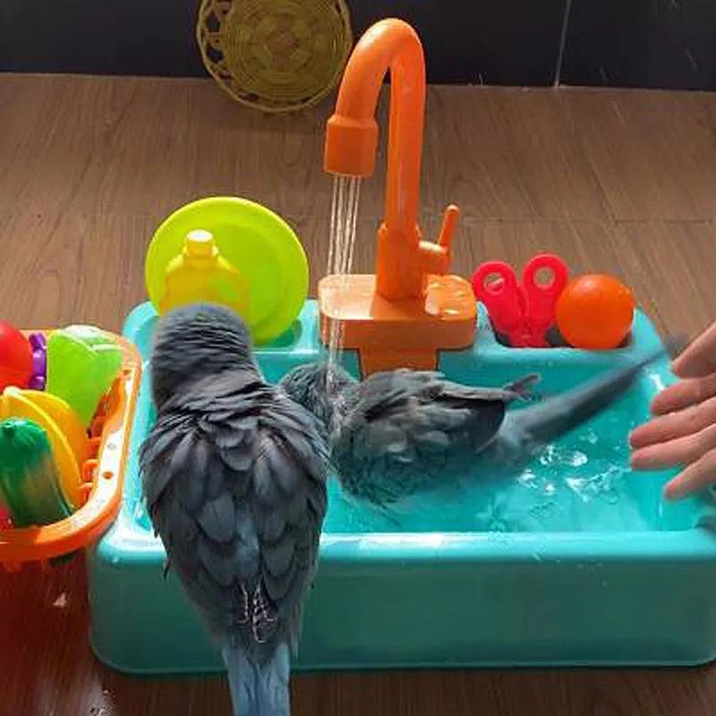 Bathtub for Bird - Paws &amp; Purrfections