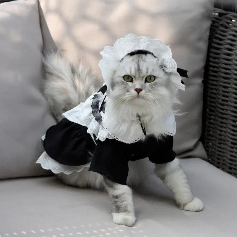 Cat Maid Dress and Hat Set - Paws &amp; Purrfections