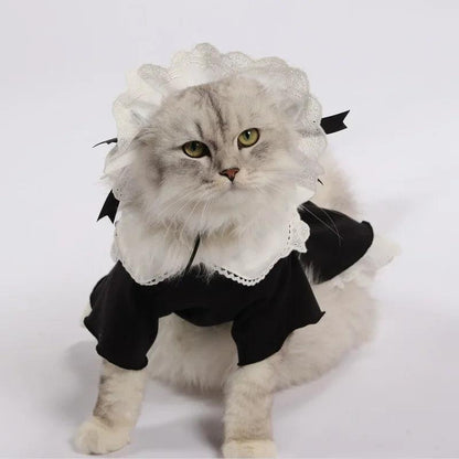 Cat Maid Dress and Hat Set - Paws &amp; Purrfections