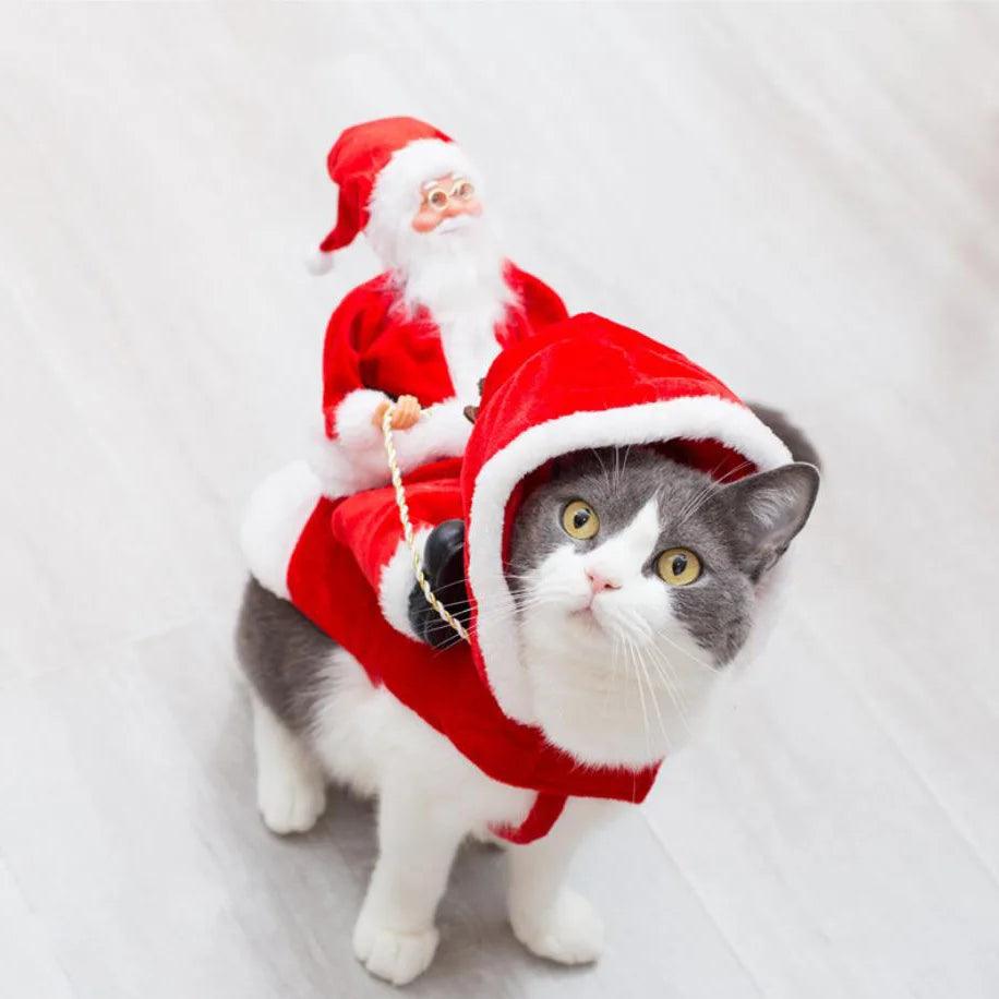 Christmas Pet Costume - Paws &amp; Purrfections