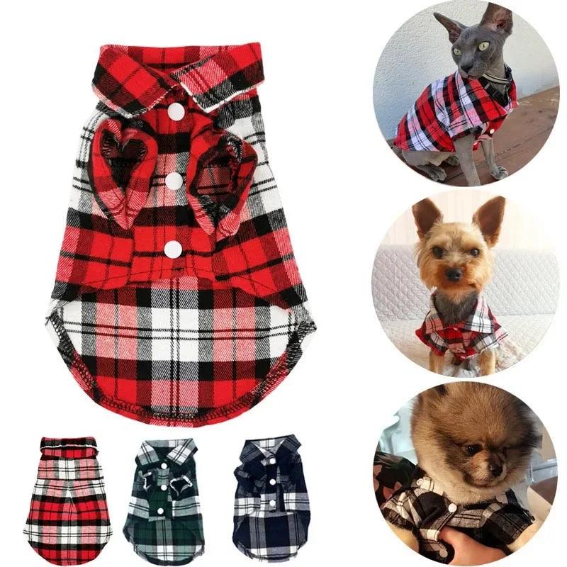 Classic Plaid Cat Clothes - Paws &amp; Purrfections