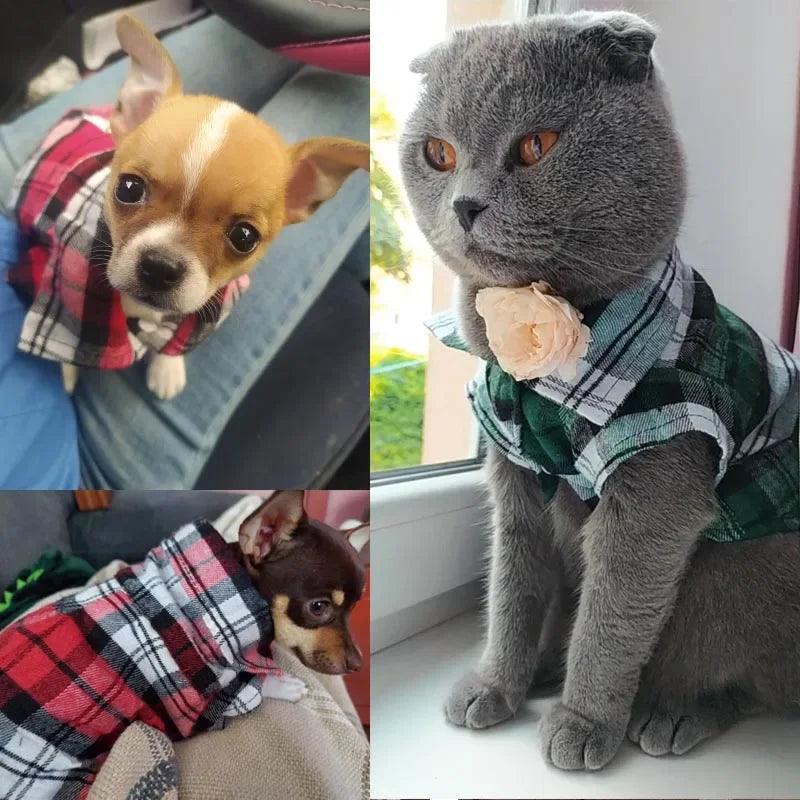 Classic Plaid Cat Clothes - Paws &amp; Purrfections