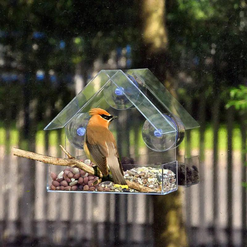 Clear Glass Window Bird Feeder - Paws &amp; Purrfections