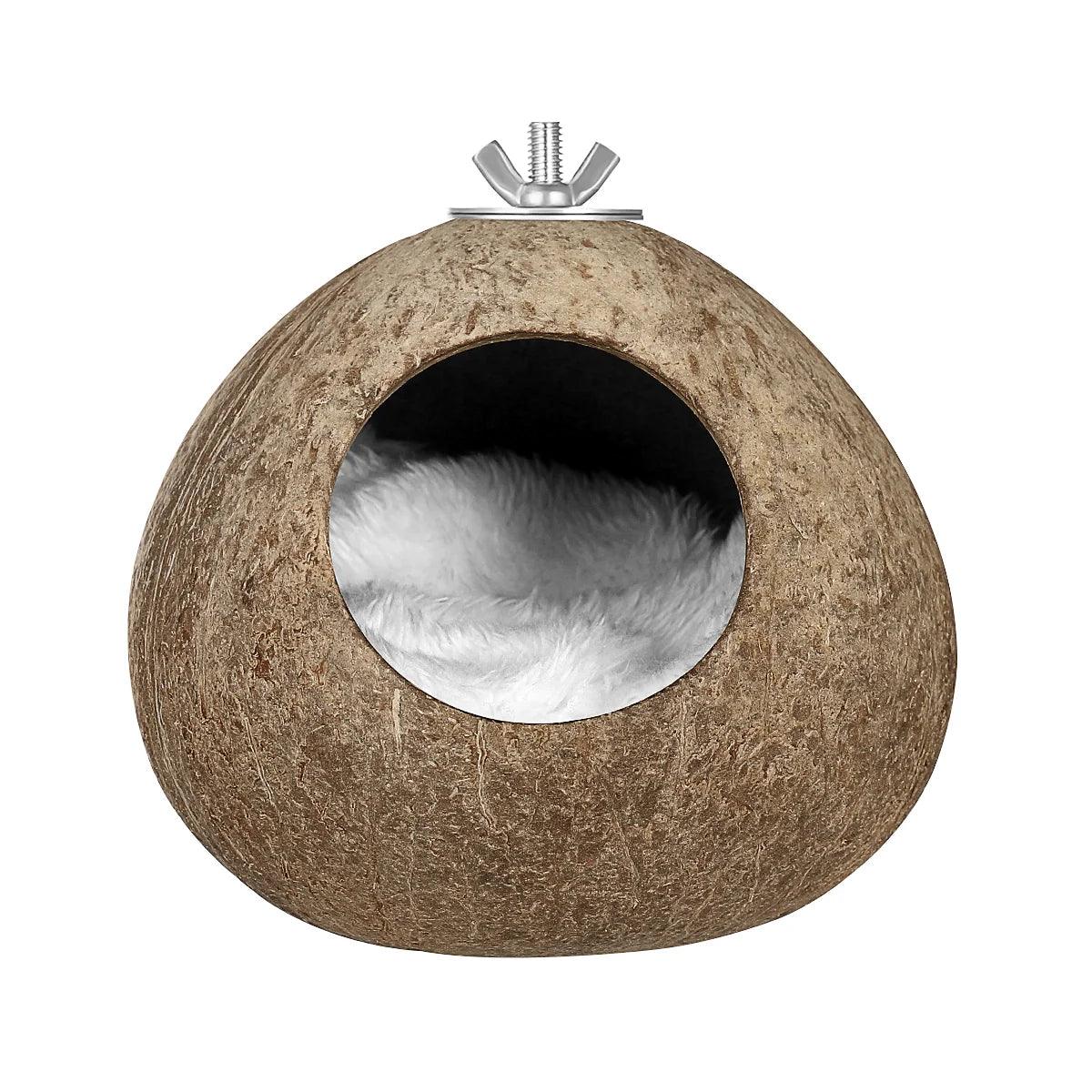 Coconut Shell Bird House - Paws &amp; Purrfections