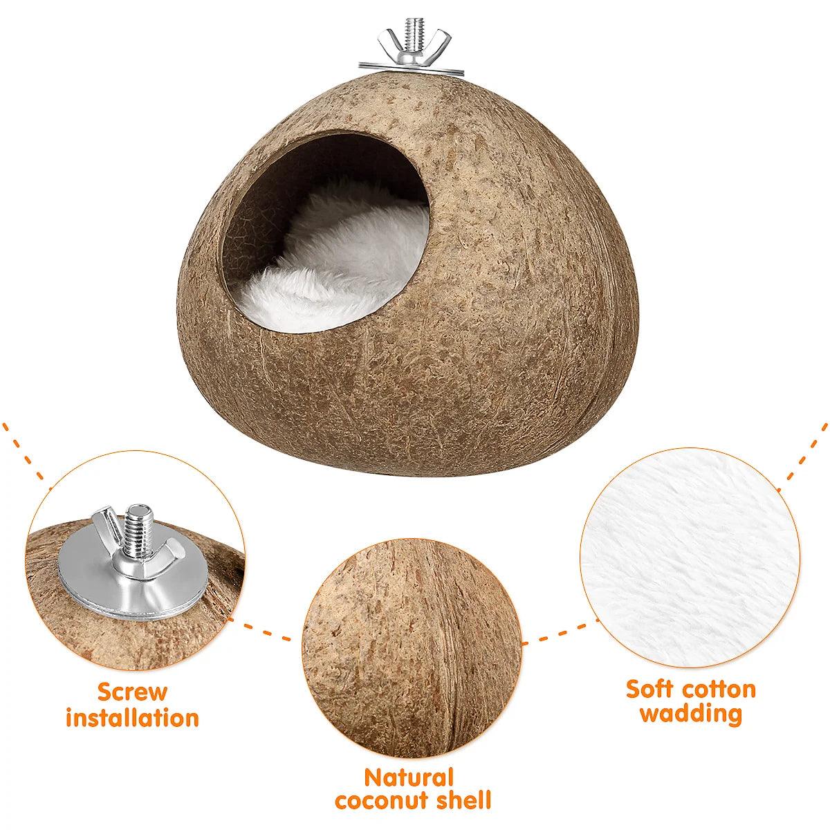 Coconut Shell Bird House - Paws &amp; Purrfections