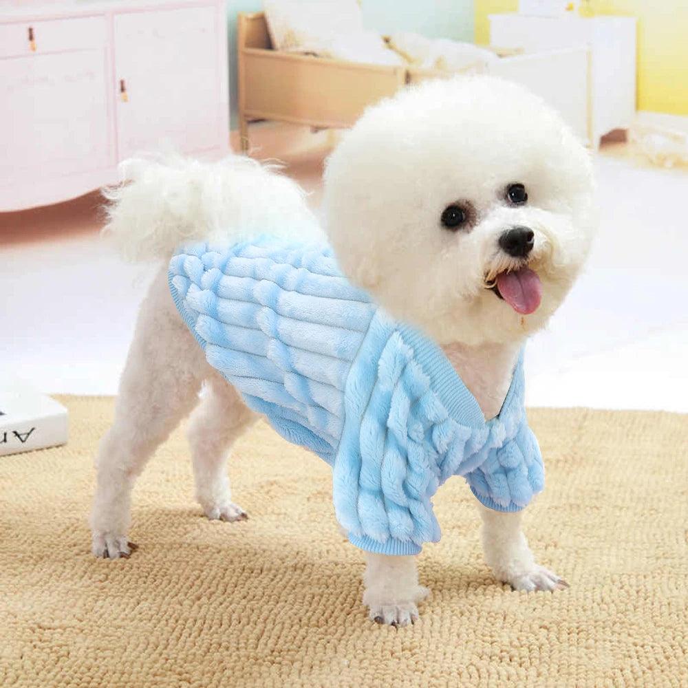 Cute and Warm Small Dog Clothes - Paws &amp; Purrfections