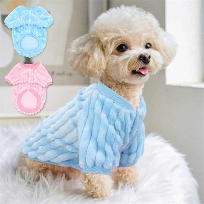 Cute and Warm Small Dog Clothes - Paws &amp; Purrfections