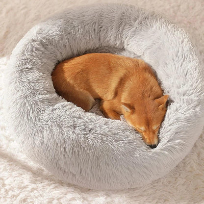 Cute Cozy Cat Bed - Paws &amp; Purrfections