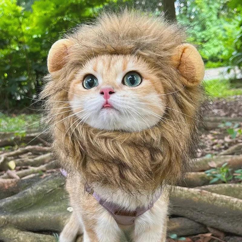 Cute Lion Mane Cat Costume - Paws &amp; Purrfections