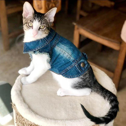 Denim Cat Clothes - Paws &amp; Purrfections