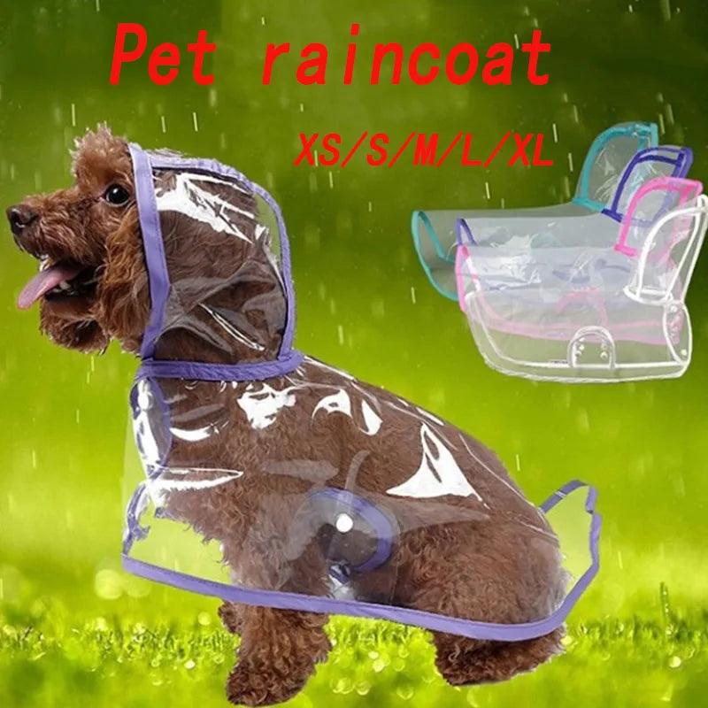 Dog Transparent Raincoat Pet Waterproof And Fashionable PU For Pets Small And Medium-Sized Dog Two-legged Dog New Cat Raincoat - Paws &amp; Purrfections