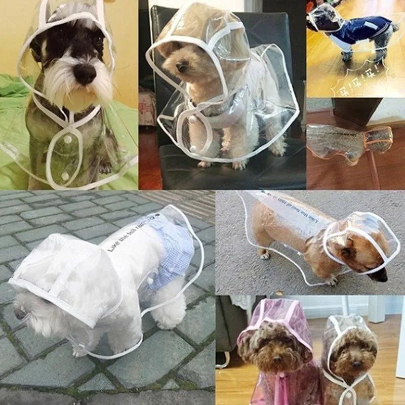 Dog Transparent Raincoat Pet Waterproof And Fashionable PU For Pets Small And Medium-Sized Dog Two-legged Dog New Cat Raincoat - Paws &amp; Purrfections