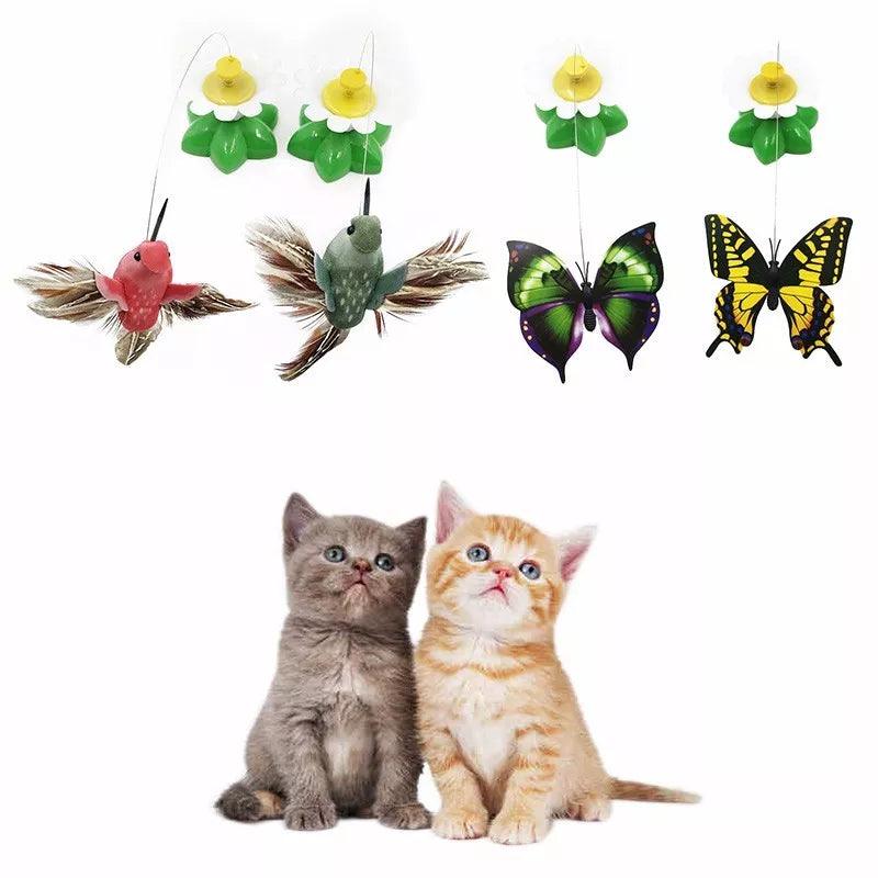 Electric Rotating Colorful Butterfly as Cat Toy - Paws &amp; Purrfections