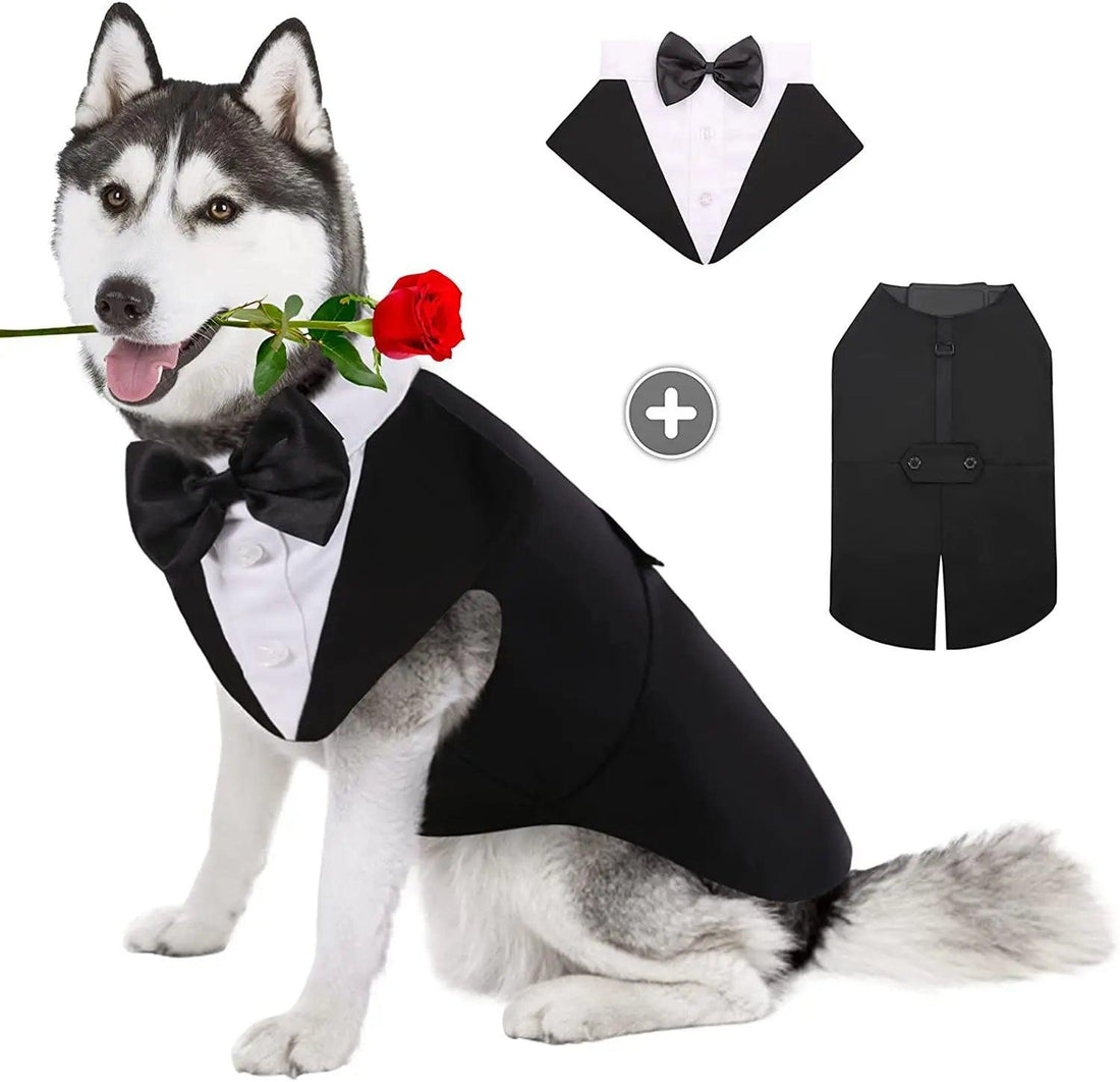 Formal Dog Tuxedo - Paws &amp; Purrfections