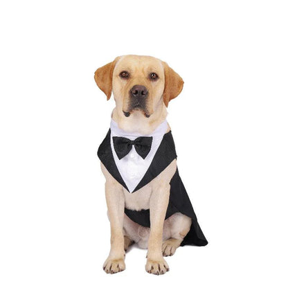 Formal Dog Tuxedo - Paws &amp; Purrfections