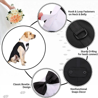 Formal Dog Tuxedo - Paws &amp; Purrfections