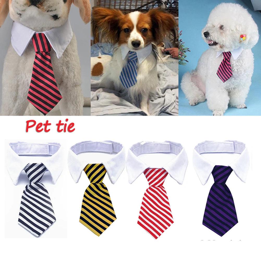 Formal Necktie Collar - Paws &amp; Purrfections