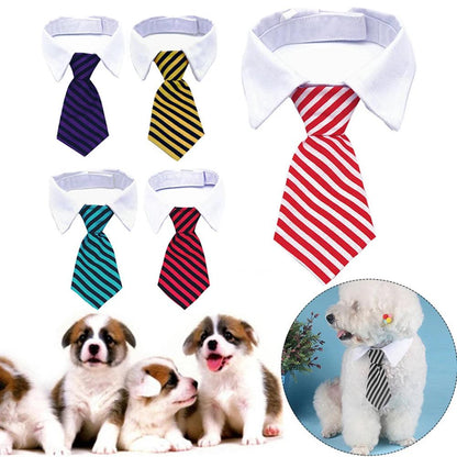 Formal Necktie Collar - Paws &amp; Purrfections