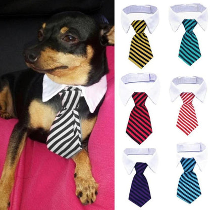 Formal Necktie Collar - Paws &amp; Purrfections