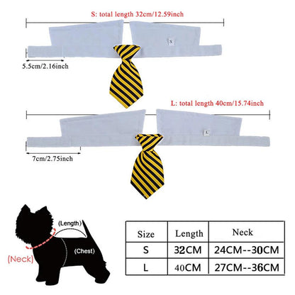 Formal Necktie Collar - Paws &amp; Purrfections