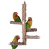 Natural Wooden Birds Perch - Paws & Purrfections