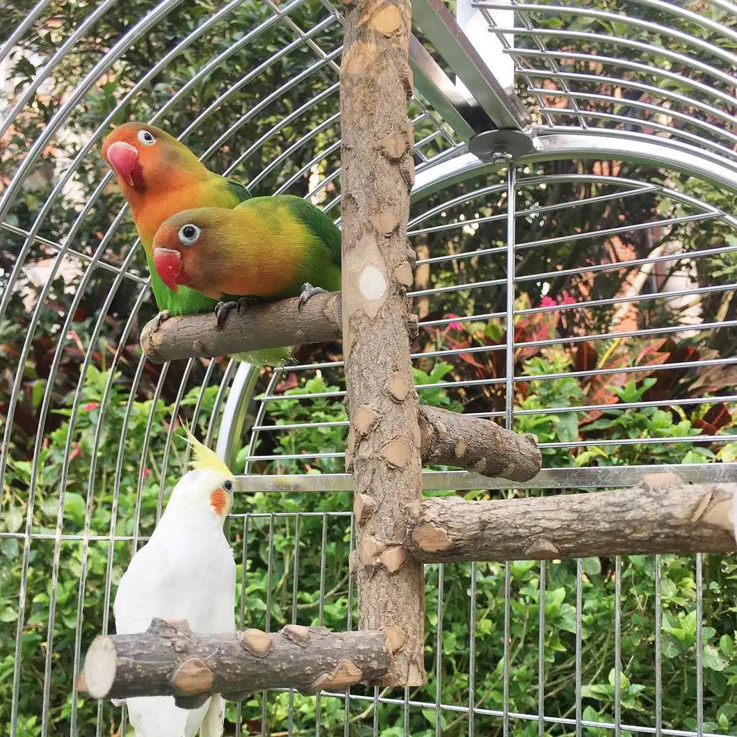 Natural Wooden Birds Perch - Paws &amp; Purrfections