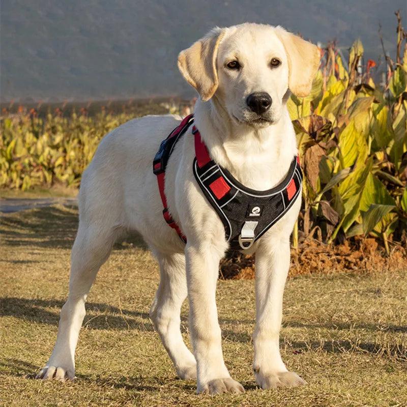 No Pull &amp; No Choke Reflective Dog Harness with Sturdy Handle - Comfortable and Secure - Paws &amp; Purrfections