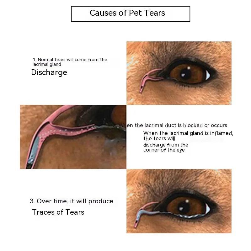 Pet Tear Stain Powder Dog Eye Tear Stain Eye Stain Bichon Pomeranian Garfield Cat Eye Cleaning Products, Cat Accessories - Paws &amp; Purrfections