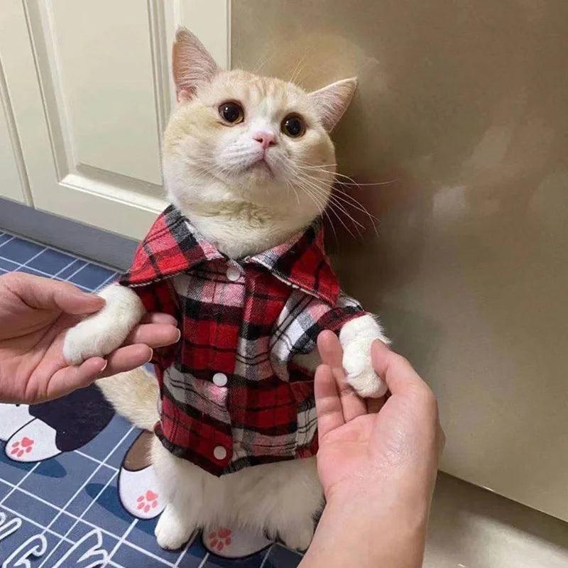 Plaid Cat Shirt - Paws &amp; Purrfections