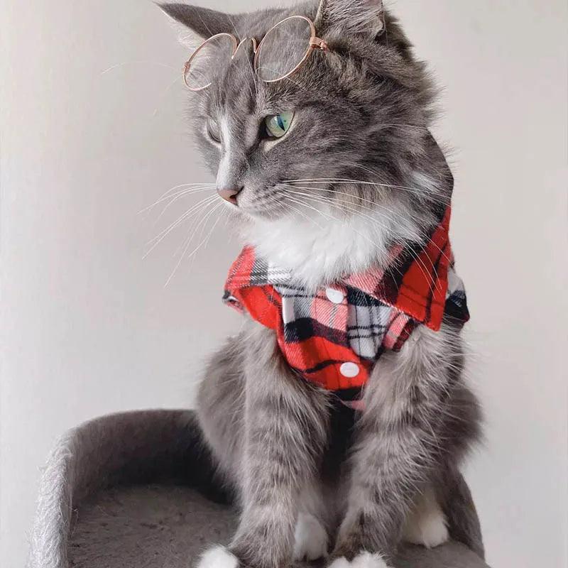 Plaid Cat Shirt - Paws &amp; Purrfections