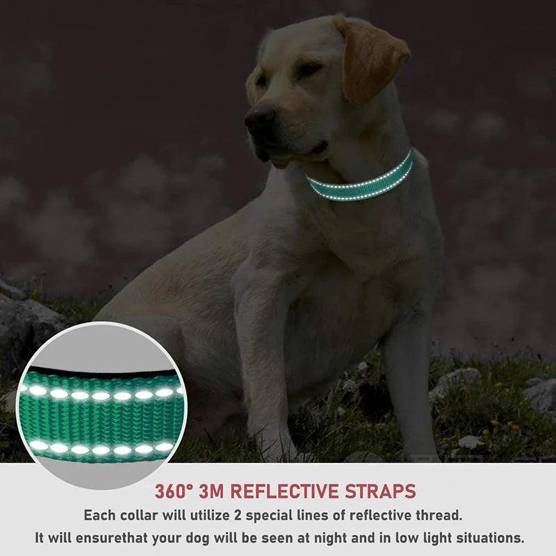 Reflective Dog Collar Strap With Adjustable Safety Nylon Pet Collar Pet Traction Rope Suitable For Small And Medium-Sized Pets - Paws &amp; Purrfections