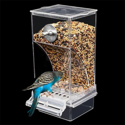 Removable Feeder for Birds - Paws &amp; Purrfections