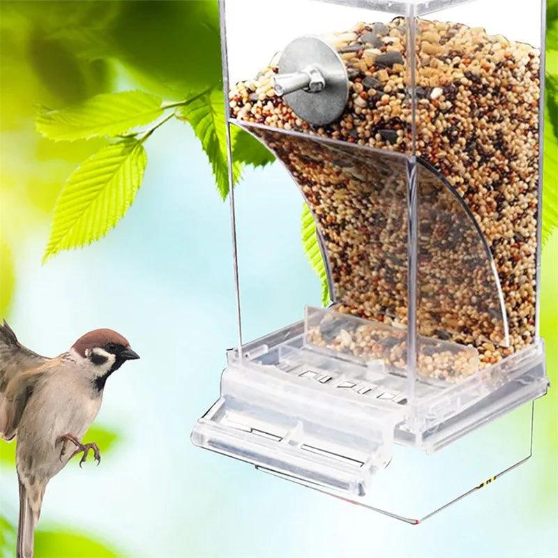 Removable Feeder for Birds - Paws &amp; Purrfections