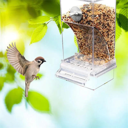 Removable Feeder for Birds - Paws &amp; Purrfections