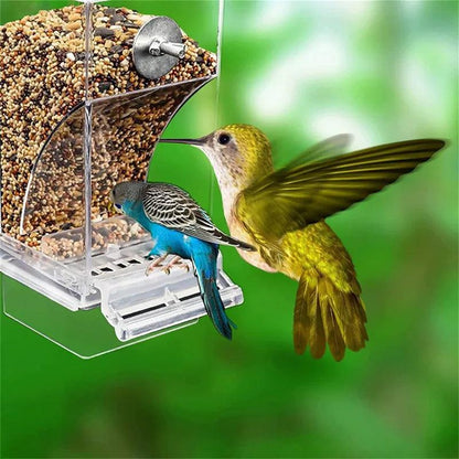 Removable Feeder for Birds - Paws &amp; Purrfections