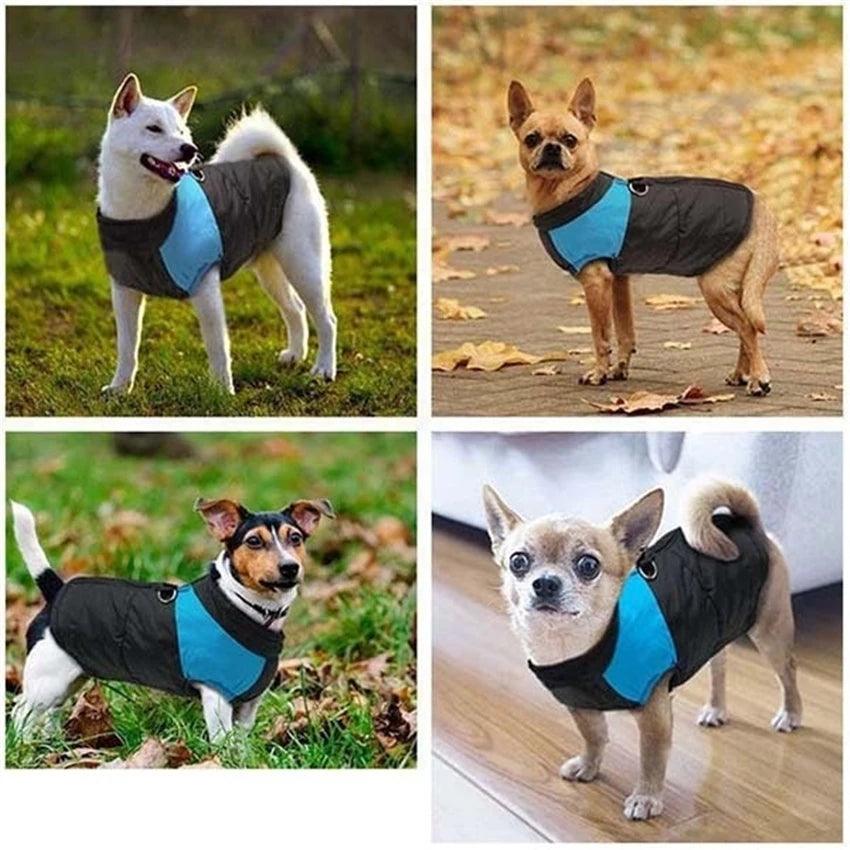 Super Warm Waterproof Dog Coat - Paws &amp; Purrfections