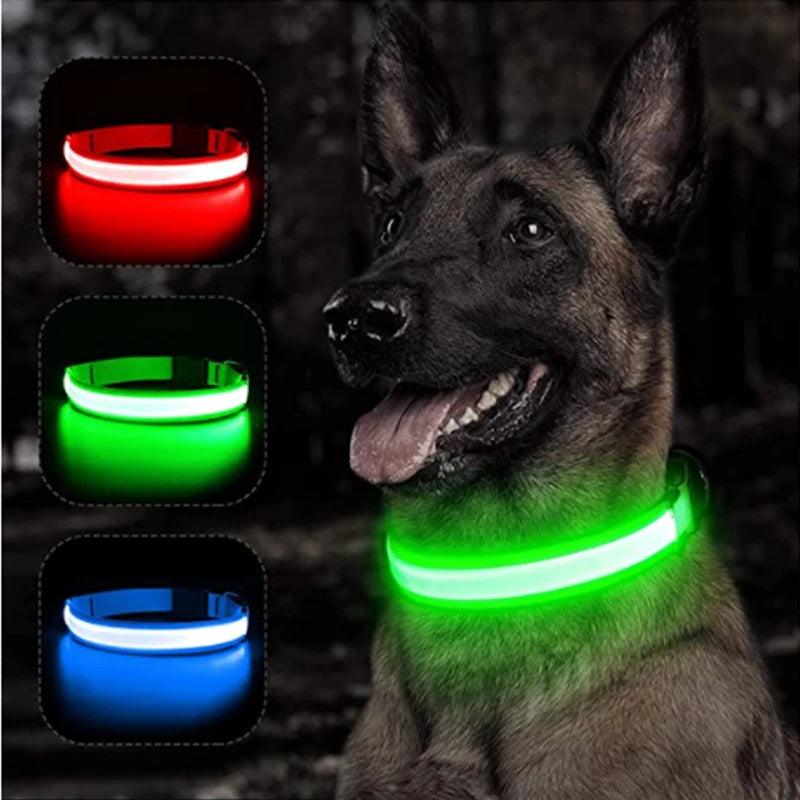 USB Charging Glowing Collar With Pendant - Paws &amp; Purrfections