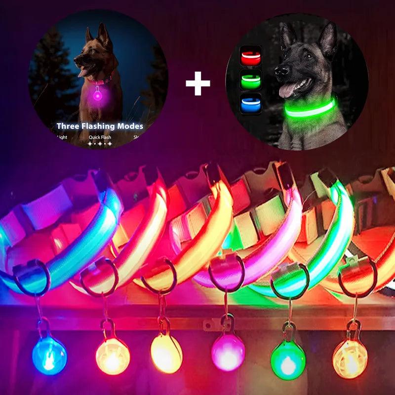 USB Charging Glowing Collar With Pendant - Paws &amp; Purrfections